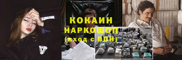 ECSTASY Богородицк